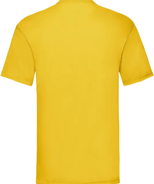 SC221 - Valueweight T (61-036-0) Sunflower