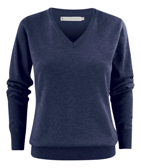 Ashland V  Gebreide Sweater Dames Blauw mêlée