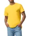 GI5000 - Heavy Cotton™Classic Fit Adult T-shirt Daisy